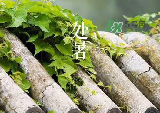 立秋為什么在處暑前？為什么立秋早過處暑？