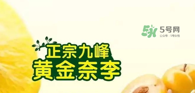 黃金奈李多少錢一斤？黃金奈李價格