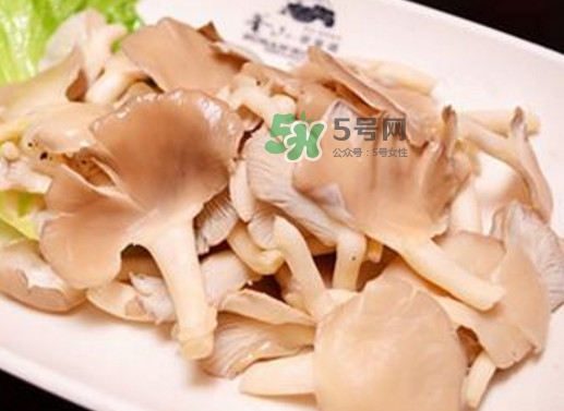 秀珍菇孕婦可以吃嗎？孕婦能吃秀珍菇嗎