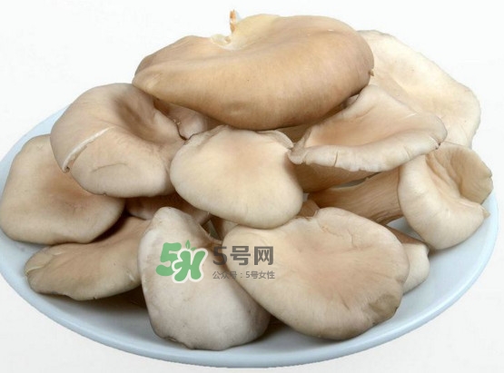 秀珍菇可以和海帶一起吃嗎？海帶能和秀珍菇一起吃嗎