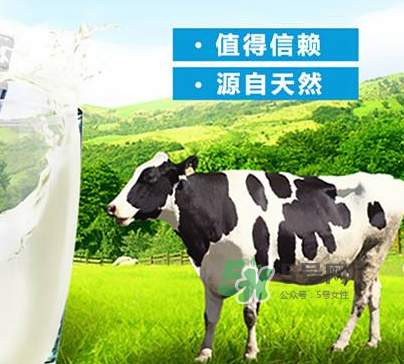 牛初乳是奶粉嗎？牛初乳跟奶粉的區(qū)別