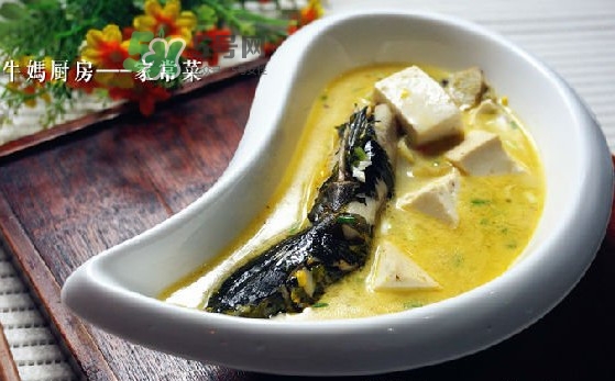 黃刺魚(yú)是發(fā)物嗎？黃刺魚(yú)是黃辣丁嗎