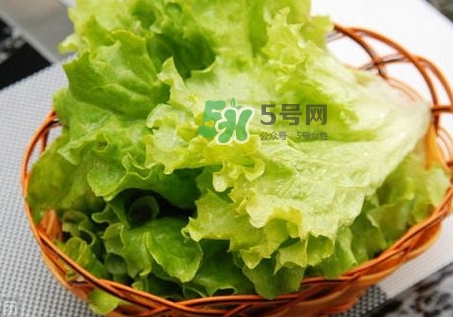 生菜變紅還能吃嗎_生菜變紅是什么原因 生菜變紅還能吃嗎_生菜變紅是什么原因