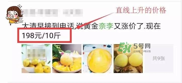 黃金奈李多少錢一斤？黃金奈李價格