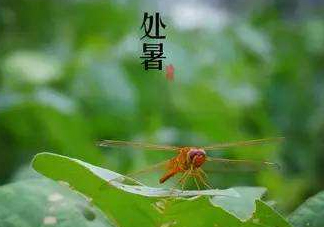 立秋為什么在處暑前？為什么立秋早過(guò)處暑？