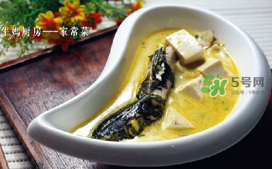 黃刺魚怎么殺？黃刺魚怎么處理