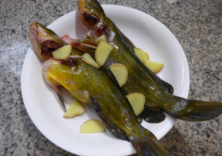 黃刺魚幾月份最好釣？黃刺魚怎么釣