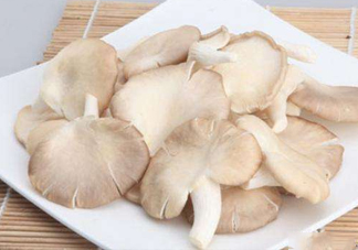 秀珍菇孕婦可以吃嗎？孕婦能吃秀珍菇嗎