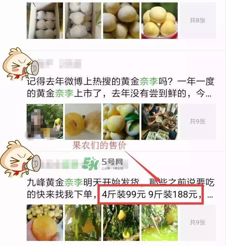 黃金奈李多少錢一斤？黃金奈李價格