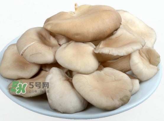 秀珍菇孕婦可以吃嗎？孕婦能吃秀珍菇嗎