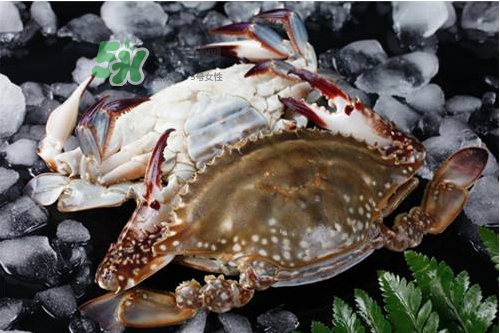 活的梭子蟹怎么保存？活梭子蟹保存方法