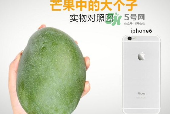 凱特芒果多少錢一斤？凱特芒果價(jià)格