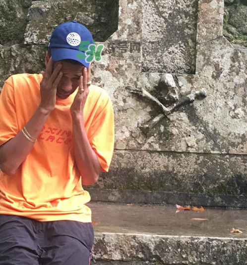 palace2017秋冬新款tri ferg tee什么樣_什么時候發(fā)售？