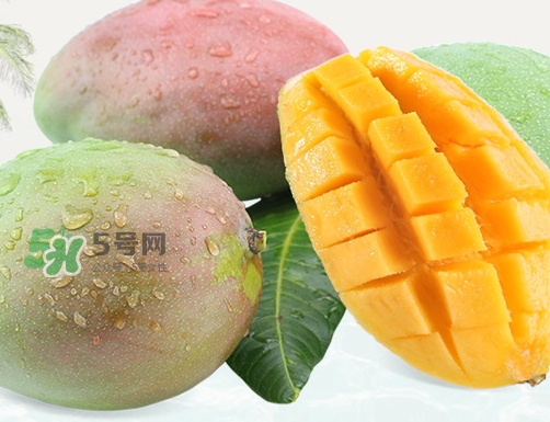 凱特芒果什么時候上市？凱特芒果上市時間