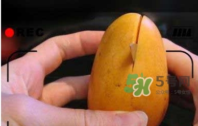 凱特芒果怎么吃？凱特芒果食用方法