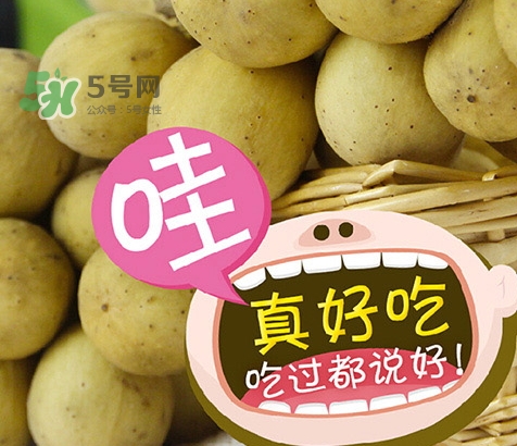 龍宮果孕婦可以吃嗎？懷孕可以吃龍功果嗎