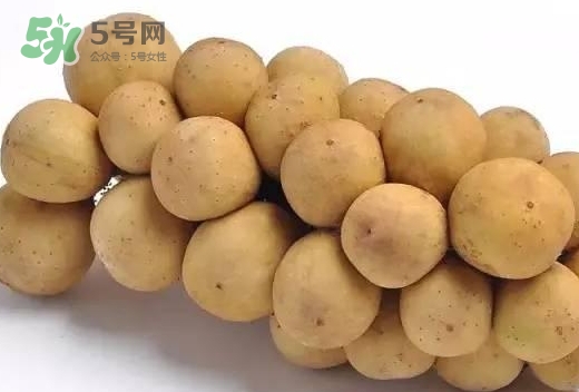 龍宮果多少錢一斤？龍功果價格表