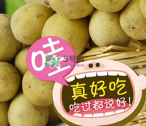 龍宮果多少錢一斤？龍功果價格表