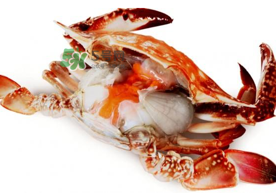 梭子蟹是寒性的嗎？梭子蟹哪些人不能吃？