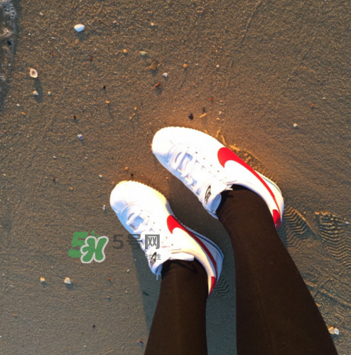 nike cortez jewel皮革版多少錢？耐克阿甘鞋皮革款價格