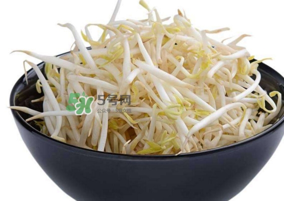 豆芽什么季節(jié)吃？豆芽什么時(shí)候有
