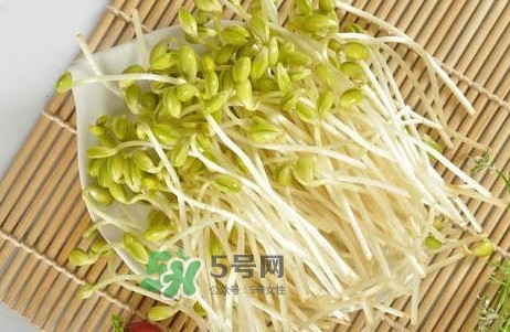 豆芽有根好還是無根好？無根豆芽與有根豆芽區(qū)別
