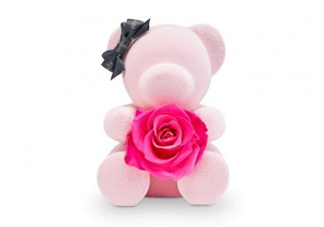 roseonly熊多少錢？roseonly玫瑰熊多少錢？