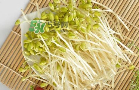 豆芽怎么保存？新鮮豆芽放冰箱能放幾天？