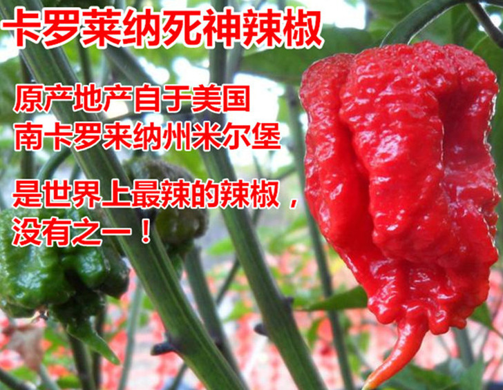 死神辣條多少錢(qián)一盒？死神辣條能吃嗎