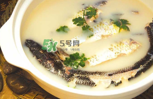 黃蜂魚怎么煮好吃？黃蜂魚燉湯孕婦可以喝嗎