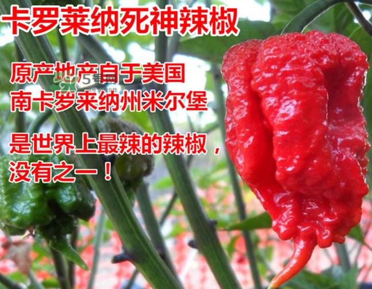 死神辣條哪兒有賣？哪里可以買到死神辣條