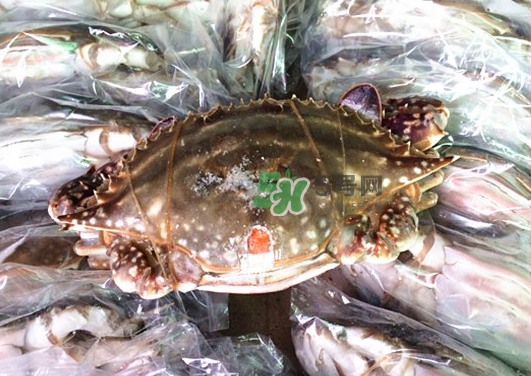 梭子蟹能放多久？梭子蟹能活多久？