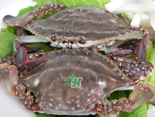 梭子蟹為什么這么貴？梭子蟹和大閘蟹哪個貴？