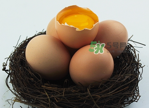 毒雞蛋波及哪幾個國家_毒雞蛋有什么特點 毒雞蛋波及哪幾個國家_毒雞蛋有什么特點