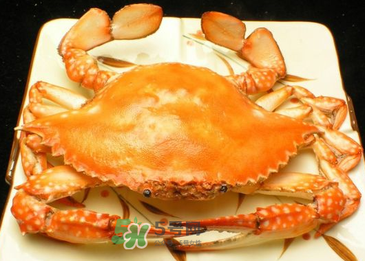 飛蟹什么時(shí)候最肥？飛蟹幾月份最肥？