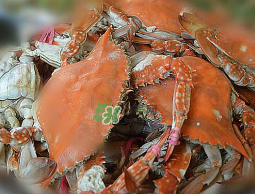 飛蟹不能和什么一起吃？飛蟹和什么不能一起吃？