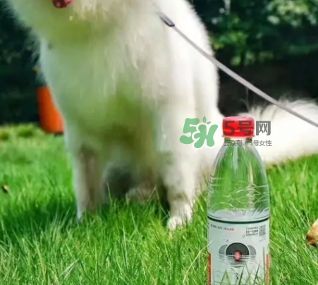 網(wǎng)易云音樂農(nóng)夫山泉樂瓶怎么玩？云音樂農(nóng)夫山泉玩法