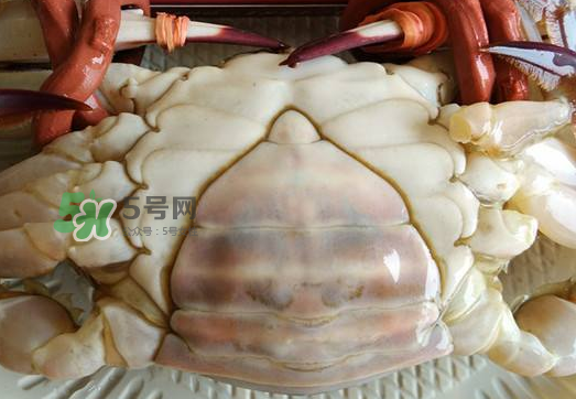 飛蟹多少錢一斤？飛蟹多少錢一斤2017？