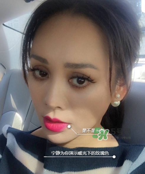 ysl208是什么顏色？ysl208適合黃皮嗎？