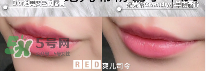 紀(jì)梵希變色唇膏和迪奧變色唇膏哪個(gè)好_怎么選？