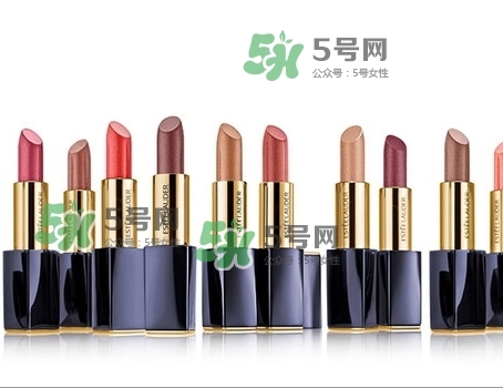 雅詩(shī)蘭黛絕對(duì)欲望霧感唇膏色號(hào)_試色圖 雅詩(shī)蘭黛絕對(duì)欲望霧感唇膏色號(hào)_試色圖