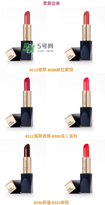 雅詩(shī)蘭黛絕對(duì)欲望霧感唇膏色號(hào)_試色圖 雅詩(shī)蘭黛絕對(duì)欲望霧感唇膏色號(hào)_試色圖