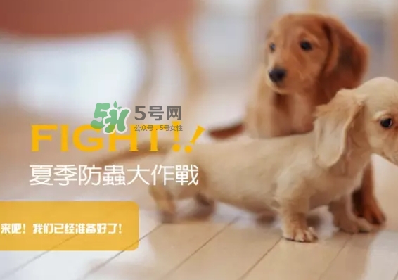 bio kill殺蟲劑怎么用？bio kill殺蟲劑怎么樣？