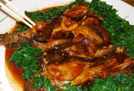 河豚魚怎么吃？河豚魚怎么去毒