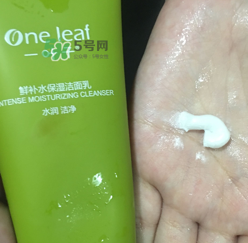 一葉子鮮補(bǔ)水洗面奶怎么樣？一葉子鮮補(bǔ)水潔面乳好用嗎？