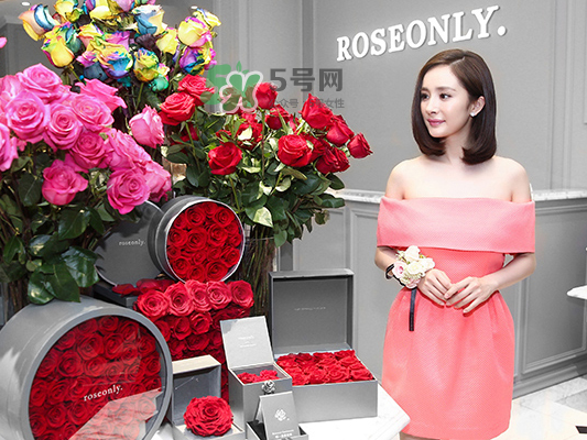 roseonly音樂盒多少錢？roseonly音樂盒歌曲名