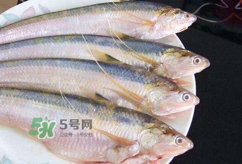 鰣魚刺多嗎？鰣魚可以養(yǎng)殖嗎