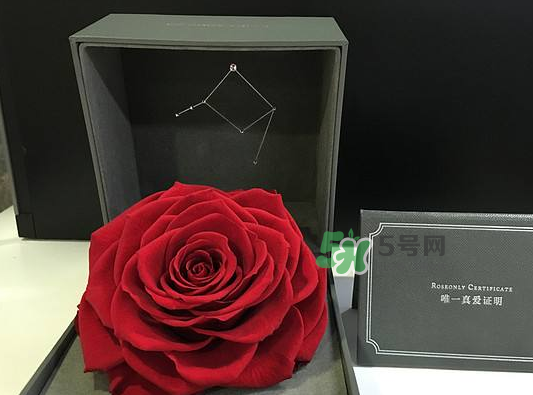 roseonly永生花可以保存多久？roseonly永生花保養(yǎng)