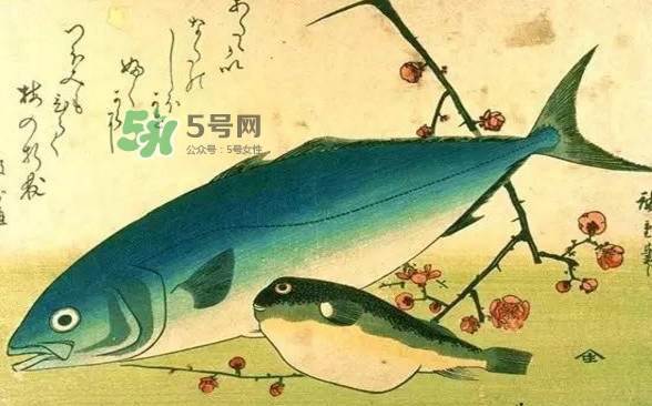 河鲀可以養(yǎng)嗎？河鲀有毒為什么還要吃