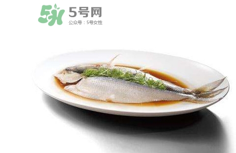 鰣魚還有嗎？長江鰣魚滅絕了嗎